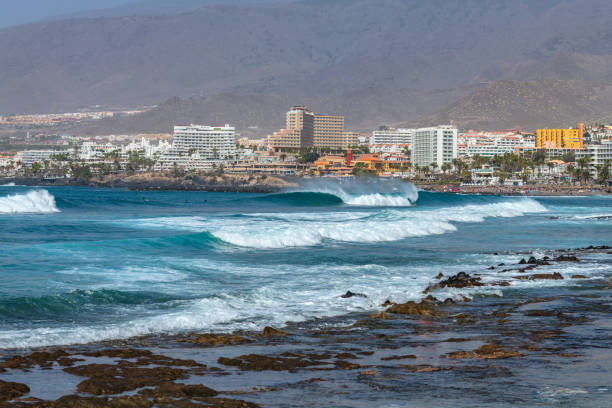 La Derecha del Cartel